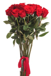 Bouquet of 11 red roses