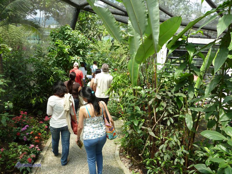 medellin-women-54